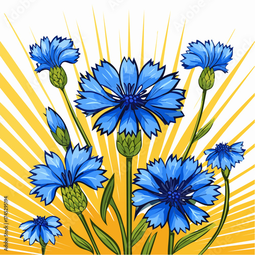 Hintergrund blaue Kornblumen