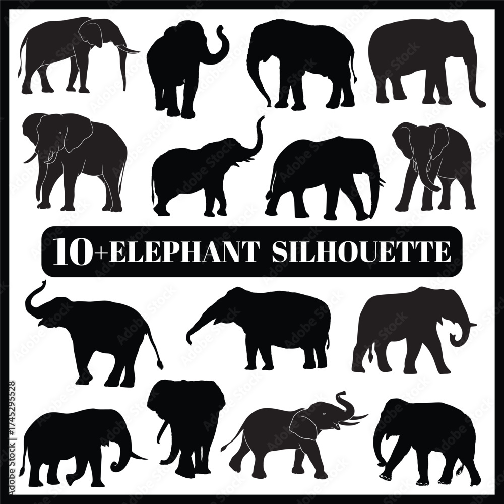 Obraz premium Elephant silhouette set box icon Elephant illustration silhouette Elephant
