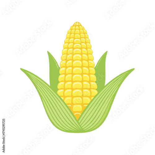 Fresh yellow corn cob with green husks vector illustration delicious sweet maize vegetable healthy ingredient farm produce