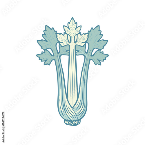 Stylized hand drawn celery stalk illustration with leaves in a retro linocut art style