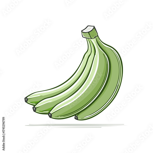Bunch of Green Bananas Still Life Isolated Vector Illustration