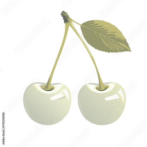 Two pale green cherries with a single leaf attached by slender stems