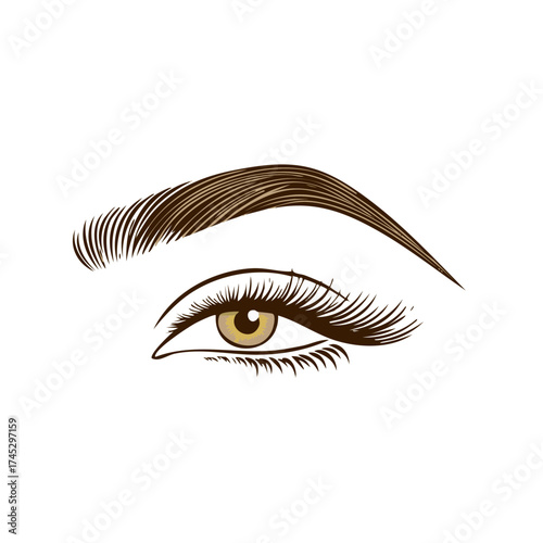 Elegant Eye Illustration with Long Lashes and Defined Eyebrow for Beauty and Fashion