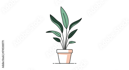 A simple potted plant with green leaves is shown against a white background.