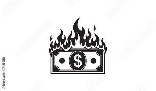 Burning dollar bill isolated on white background concept