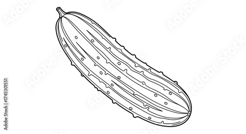 A detailed sketch of a fresh organic cucumber with visible bumps and ridges for healthy eating.