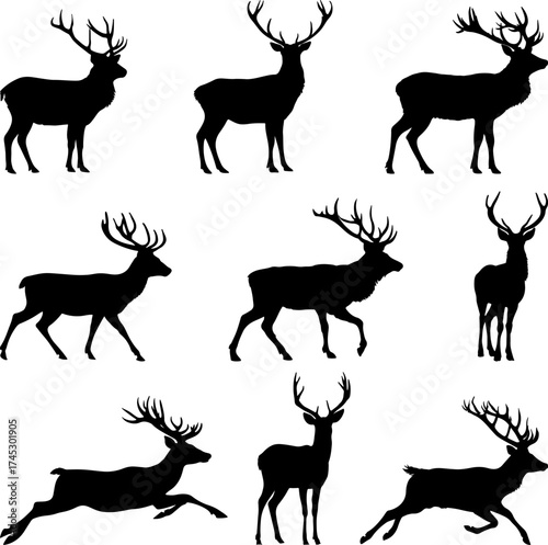 Set silhouettes of deer isolated on transparent background. Vector illustration