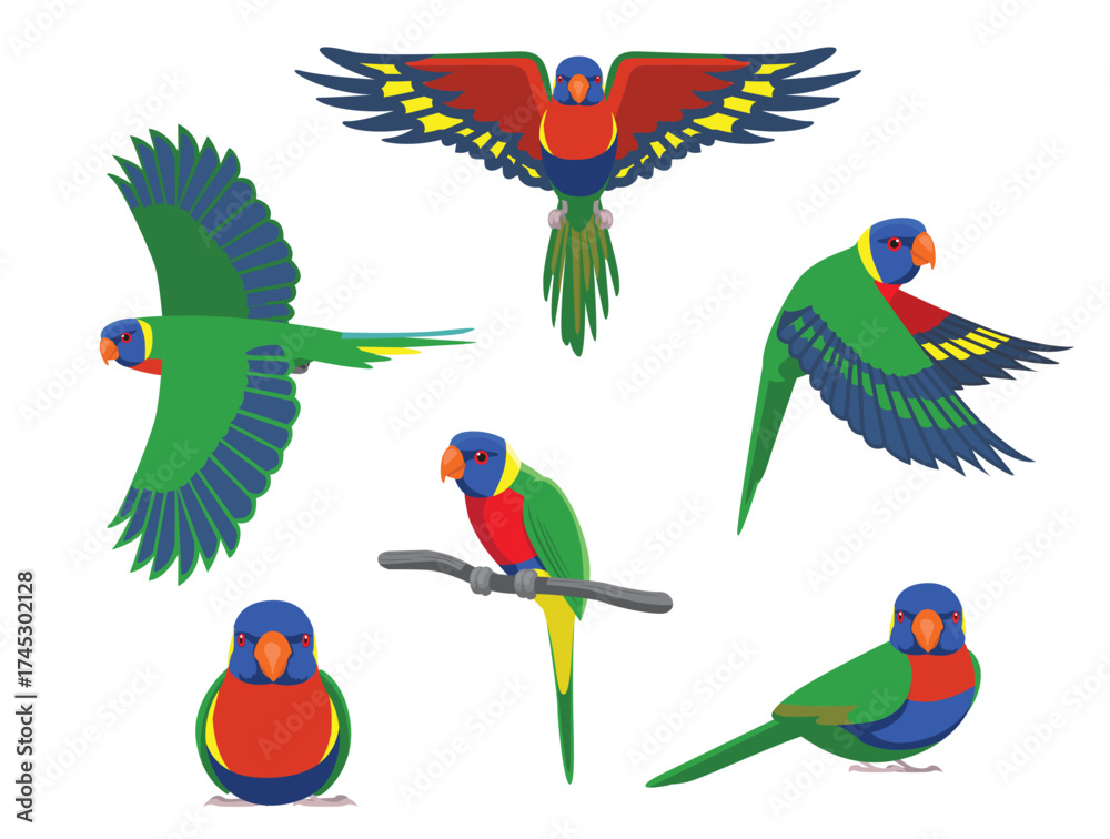 Obraz premium Rainbow Lorikeet Parrot Various Poses Cartoon Vector Character