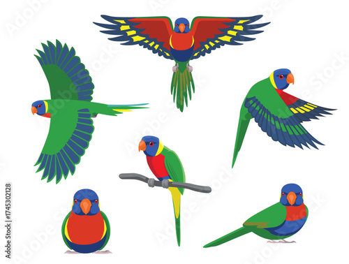 Rainbow Lorikeet Parrot Various Poses Cartoon Vector Character