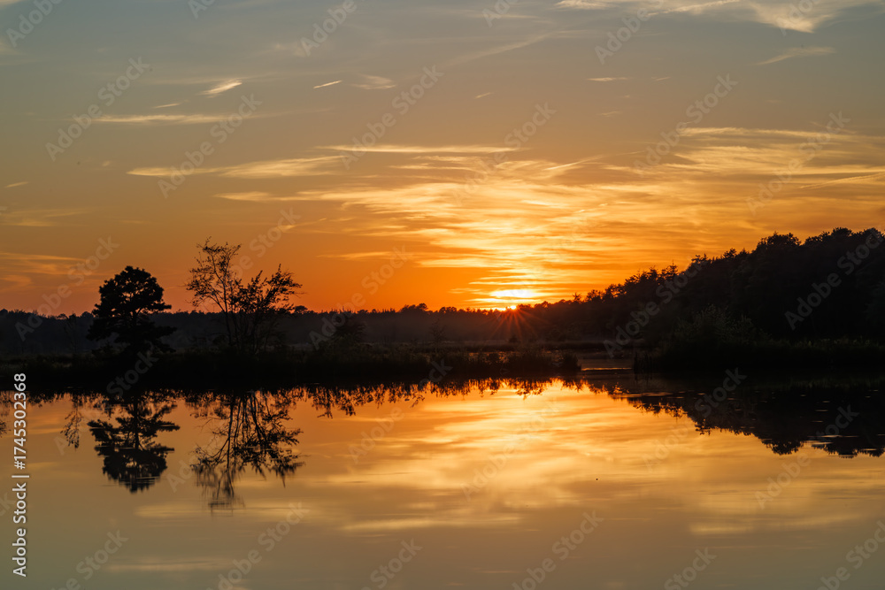 Fototapeta premium Golden sunset glows above calm Pine Barrens lake, with trees reflecting on still water beneath a warm orange sky at the end of the day.