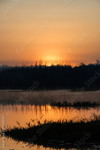 Golden sunrise reflects across calm Pine Barrens wetlands, with mist rising through silhouetted trees and grasses under a glowing morning sky.