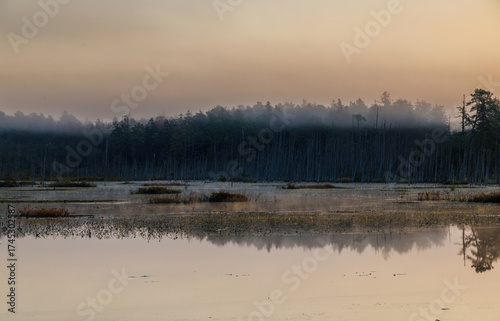 Gentle morning mist hovers above calm reflective wetlands in the Pine Barrens, creating a peaceful and atmospheric dawn landscape surrounded by pine trees.