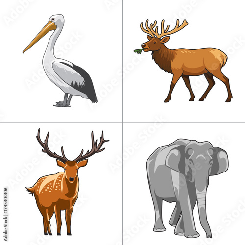 Set of Wild Animal Vector Illustrations for Kids Education and Nature Themes