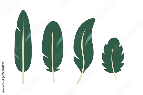 Modern abstract collection of tropical jungle leaves in dark green and cream colors