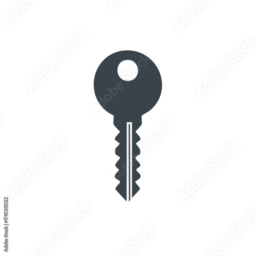 Modern dark gray key icon symbolizing security, access, solutions, and privacy in digital design.