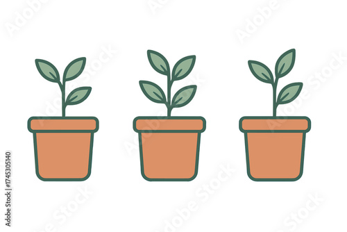 A row of three small green seedlings growing in terracotta pots on a white background