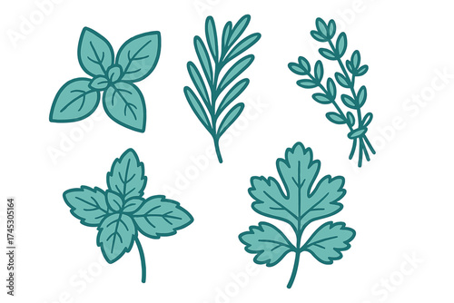 Collection of fresh culinary herbs including basil, rosemary, parsley, mint, and thyme leaves