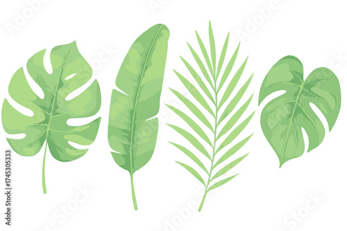 Lush tropical foliage elements in watercolor style isolated on white background