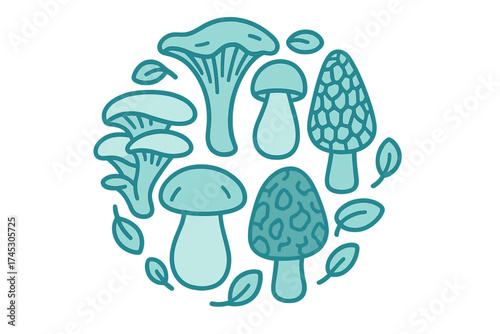 Circular composition of various wild mushrooms and scattered forest leaves