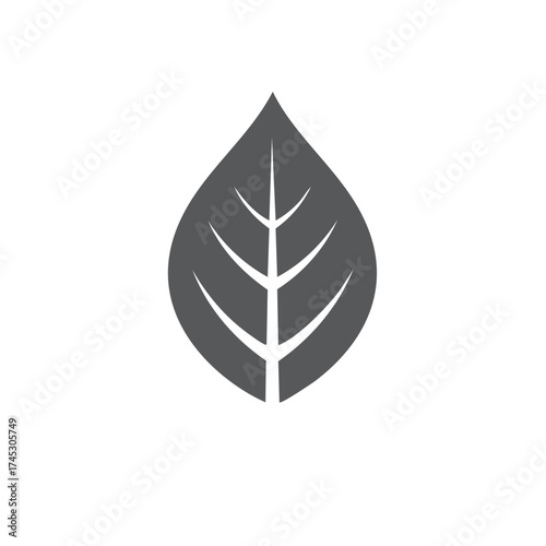Elegant Leaf Icon Graphic Resource Showing Detailed Veins in Solid Gray Shade on White Space