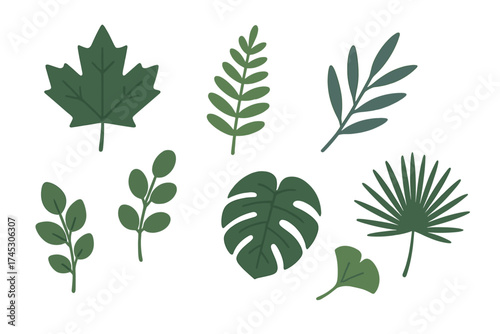 Stylized collection of diverse green foliage elements including tropical and deciduous leaves on white background