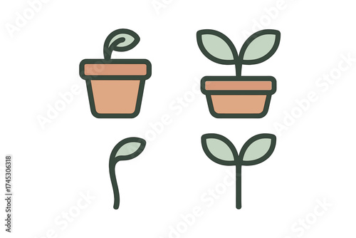 Growth stages of a small plant from a single sprout to a potted seedling development process