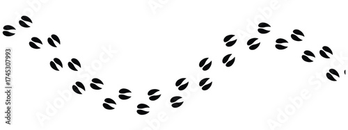 Silhouettes of animal footprints of goat – black vector tracks of birds, reptiles, and mammals. includes paw prints, hoof marks, and steps from wolf, duck, frog design in eps 10.