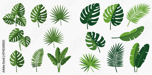 A collection of various tropical green leaves including monstera, palm, and banana leaves, arranged on a transparent background.