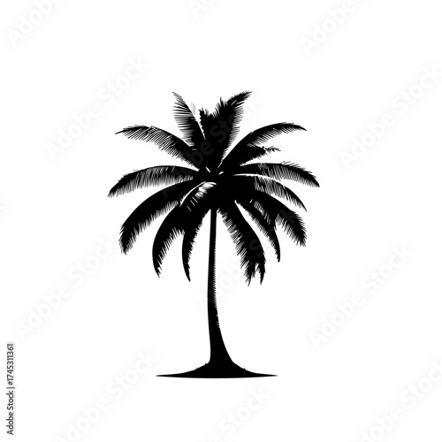Tropical Paradise Beach Palm Tree Vector Illustration