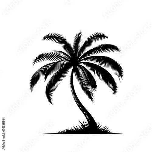 Exotic Tropical Island Palm Tree Vector Illustration