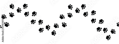 Paw vector foot trail print on white background. vector cat or Dog, path pattern animal tracks, isolated on white background in eps 10.