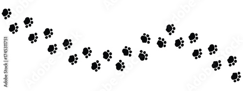 Paw vector foot trail print on white background. vector cat or Dog, path pattern animal tracks, isolated on white background in eps 10.