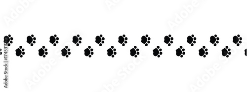 Paw vector foot trail print on white background. vector cat or Dog, path pattern animal tracks, isolated on white background in eps 10.