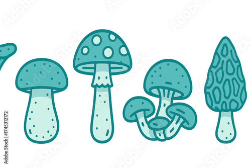 Stylized fungi species forming a decorative horizontal border design element