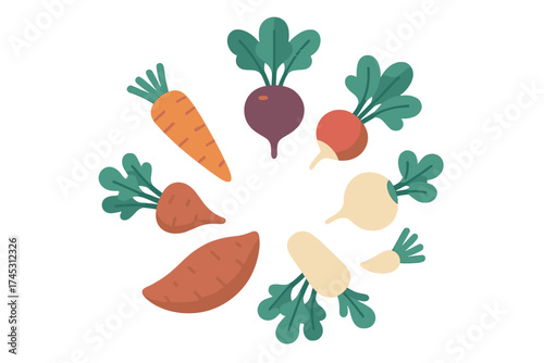 Assortment of root vegetables arranged in a circle pattern