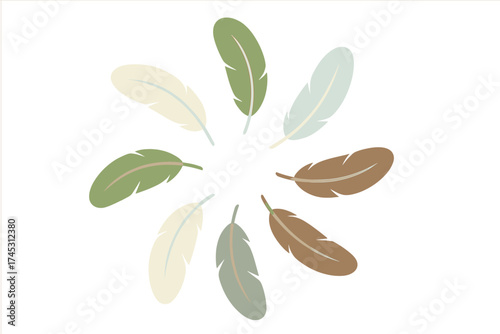 Circular arrangement of soft colored bird feathers on a clean white background