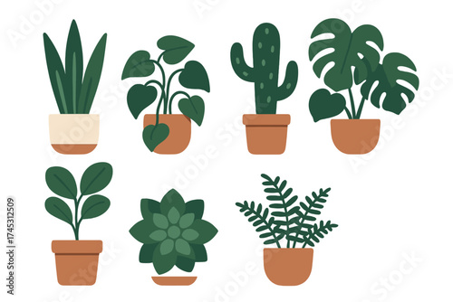 Assortment of various green houseplants displayed in simple terracotta pots