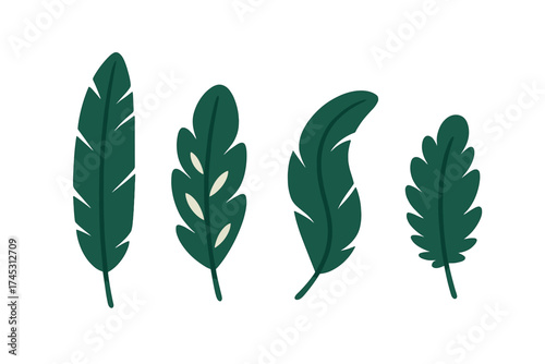 Set of four stylized dark green tropical plant leaves isolated on white background