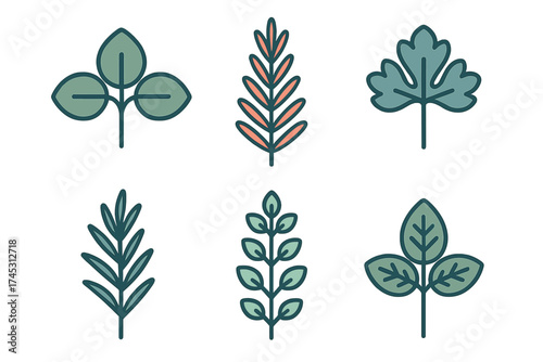 Six stylized botanical leaf icons featuring outline and fill variations