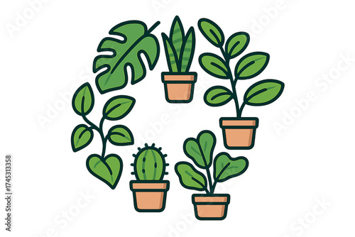 Collection of various potted houseplants arranged in a circular pattern