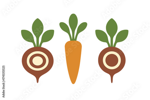 Carrot and stylized beets icons with green tops for root vegetable concepts
