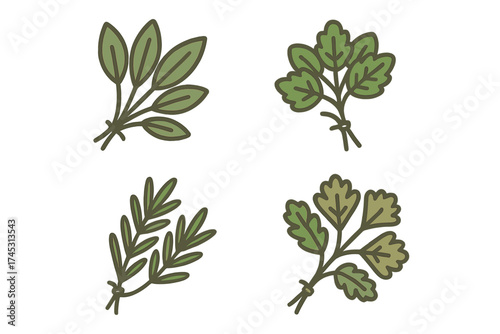 Four bunches of culinary herbs tied together in a simple outline style