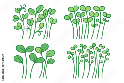 Stylized green microgreen sprouts and seedlings in various stages of growth