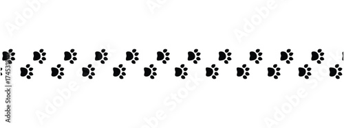 Vector paw trail of animal footprint. Dog, cat, puppy, fox, wolf tracks isolated on white background. Animal tracks in silhouette. Wild animal footsteps vector illustration in eps 10.