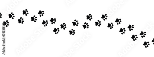 Vector paw trail of animal footprint. Dog, cat, puppy, fox, wolf tracks isolated on white background. Animal tracks in silhouette. Wild animal footsteps vector illustration in eps 10.