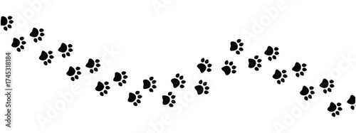 Vector paw trail of animal footprint. Dog, cat, puppy, fox, wolf tracks isolated on white background. Animal tracks in silhouette. Wild animal footsteps vector illustration in eps 10.