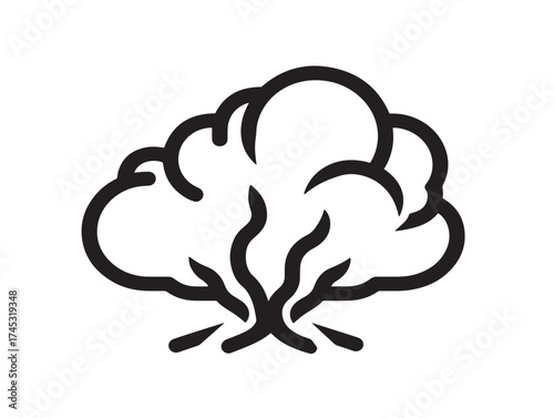 Natural Disaster icon 2D vector line art in a clean minimalist warning symbol