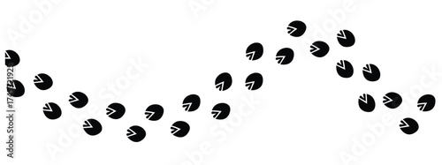 Wild life footprint tracks. Animals paws prints, black silhouettes traces, hunters and zoologists manual, stickers with text, zebra, rat and dog, isolated vector set in eps 10.