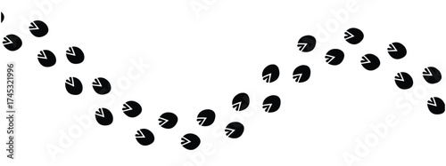 Wild life footprint tracks. Animals paws prints, black silhouettes traces, hunters and zoologists manual, stickers with text, zebra, rat and dog, isolated vector set in eps 10.