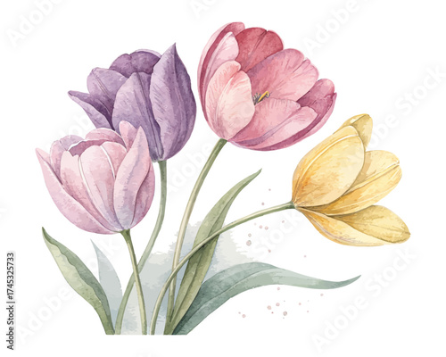 Pastel Watercolor Tulips in Minimal Style 